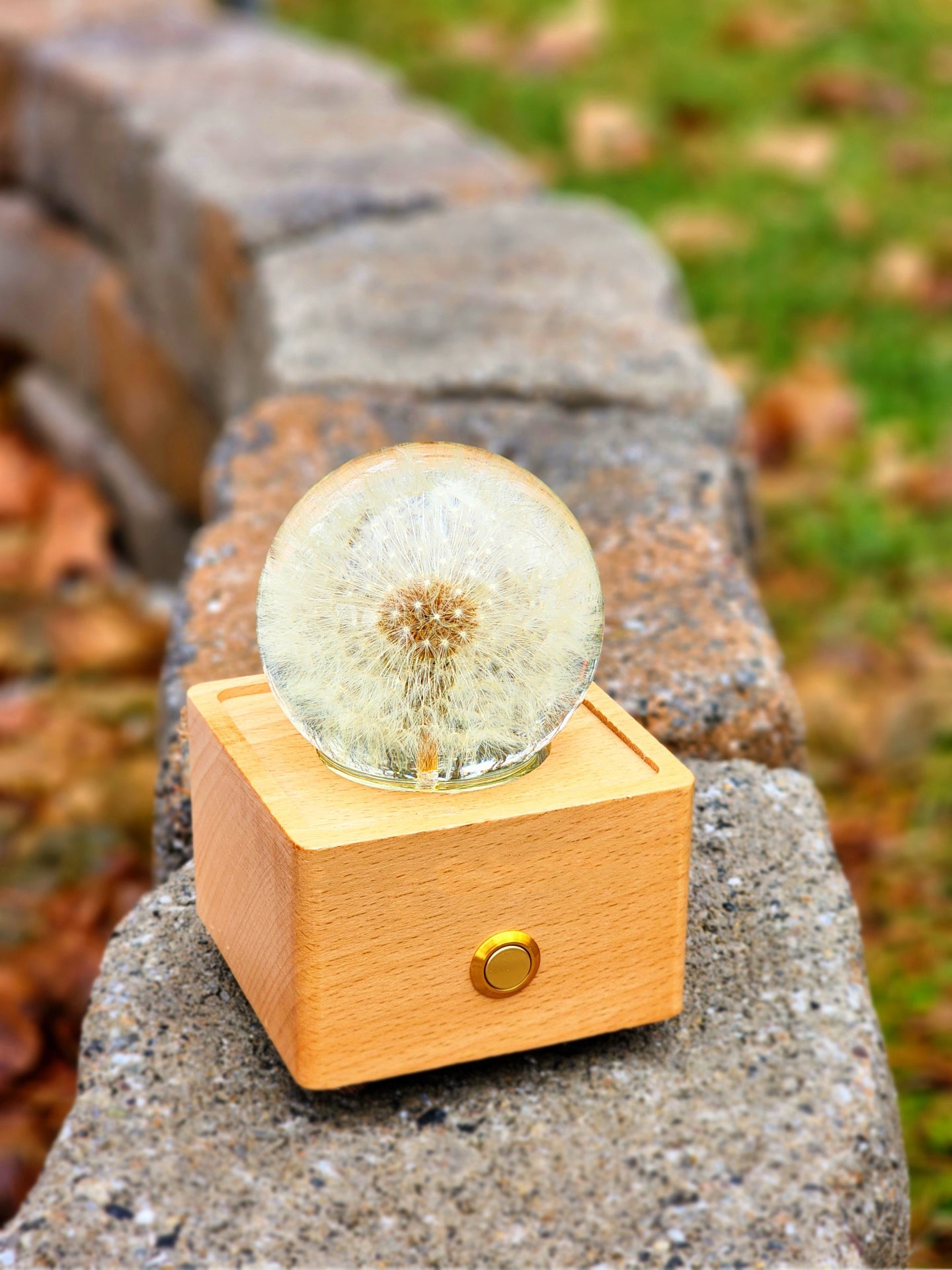 Flower Dandelion Bluetooth Speaker Crystal Ball - （Natural Preserved Flower)