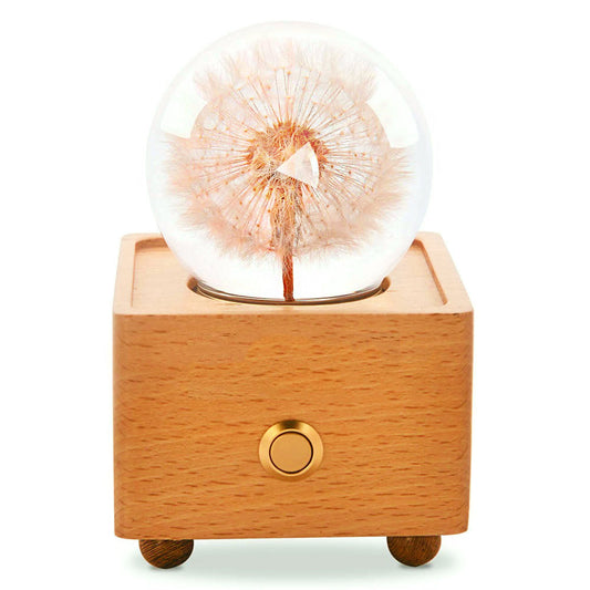 Flower Dandelion Bluetooth Speaker Crystal Ball - （Natural Preserved Flower)