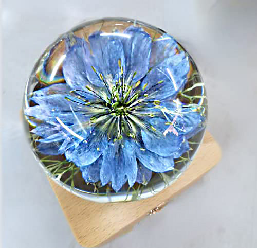 Blue Lily Night Light Crystal Ball - (Natural Preserved Flower)