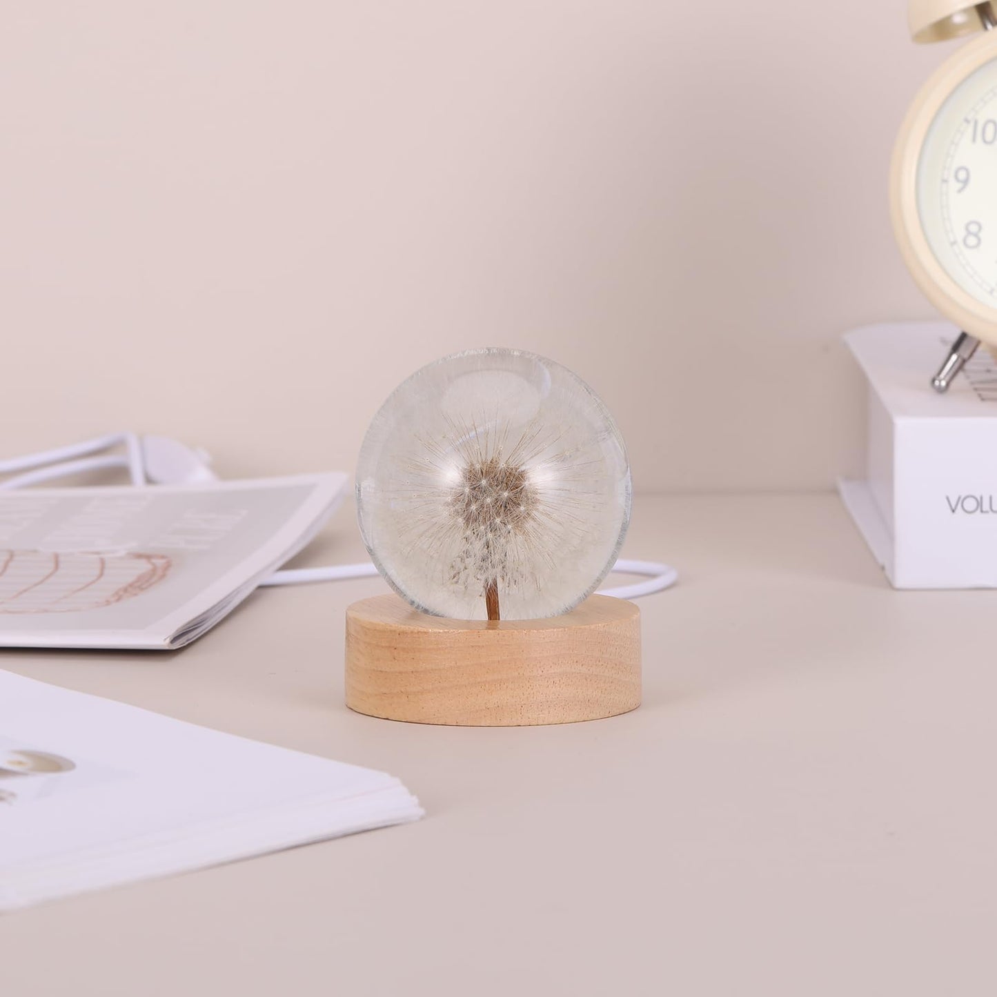 Blowball Flowers Night Light Crystal Ball - (Natural Preserved Flower)