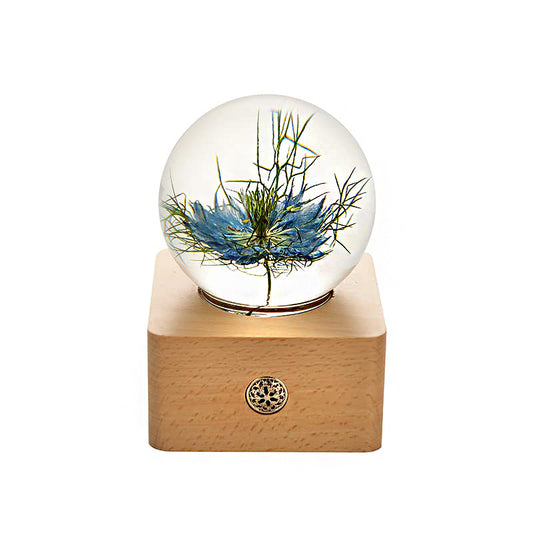 Blue Lily Night Light Crystal Ball - (Natural Preserved Flower)