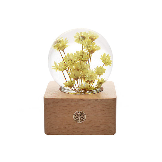 Little Daisy Flower Night Light Crystal Ball - （Natural Preserved Flower)