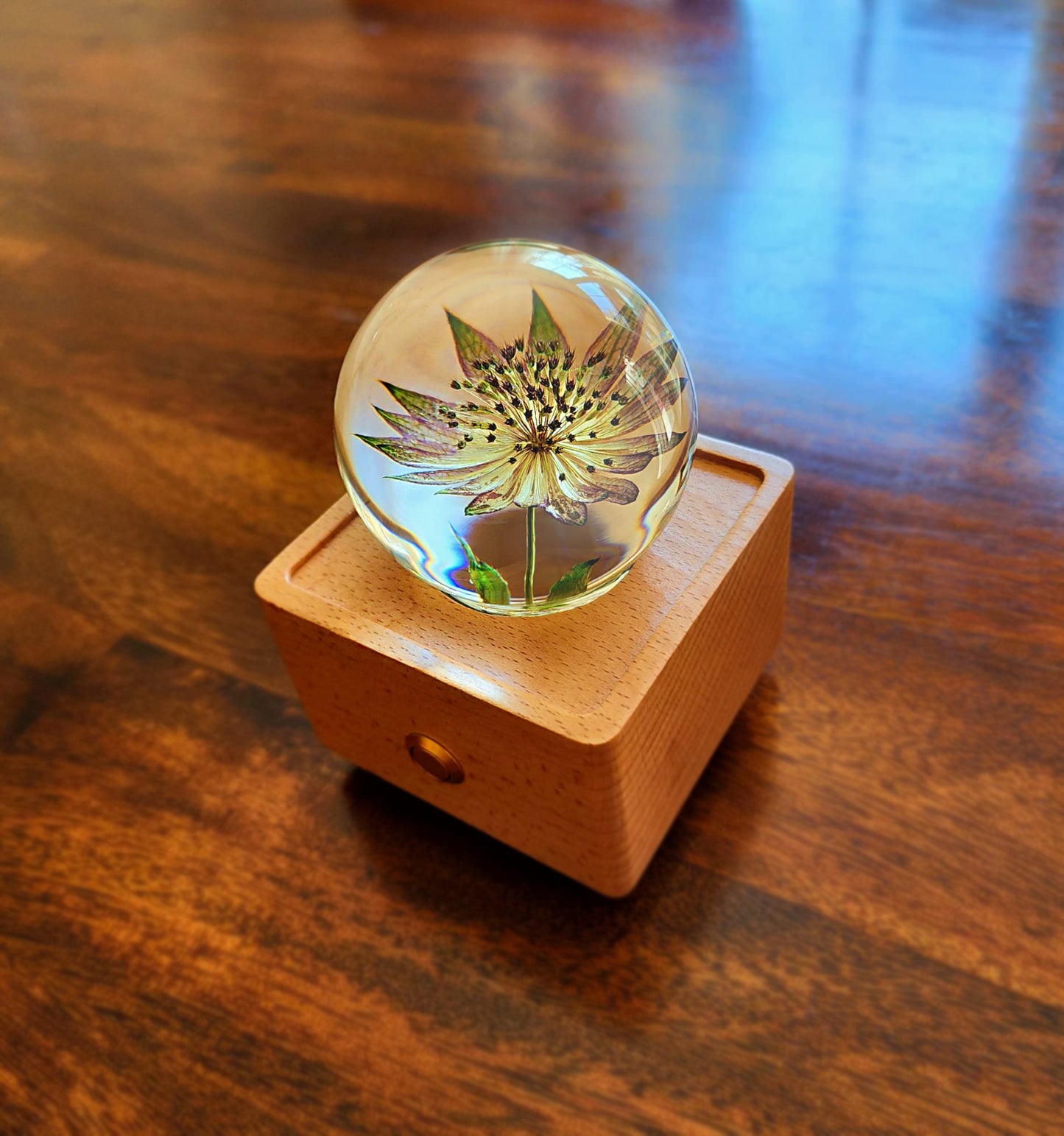 Roman Flower Bluetooth Speaker Crystal Ball - （Natural Preserved Flower)