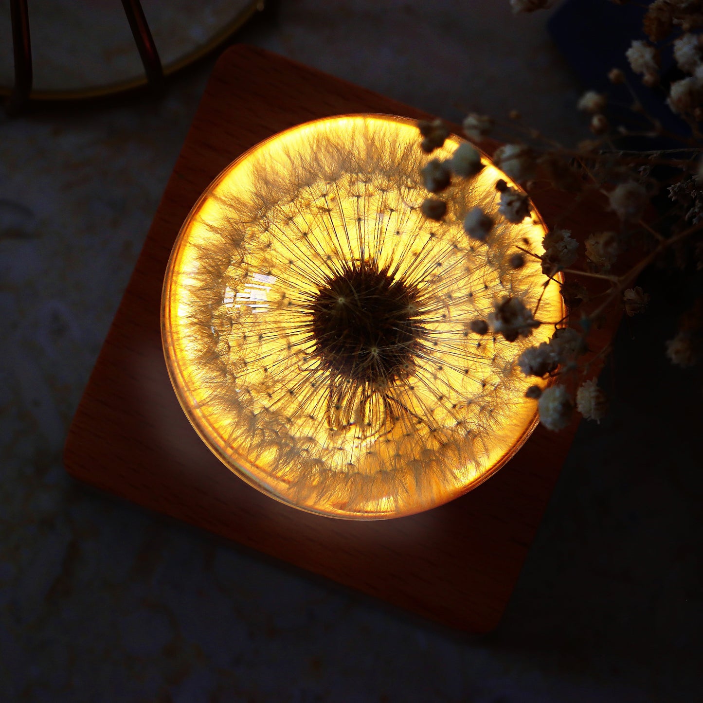 Flower Dandelion Bluetooth Speaker Crystal Ball - （Natural Preserved Flower)