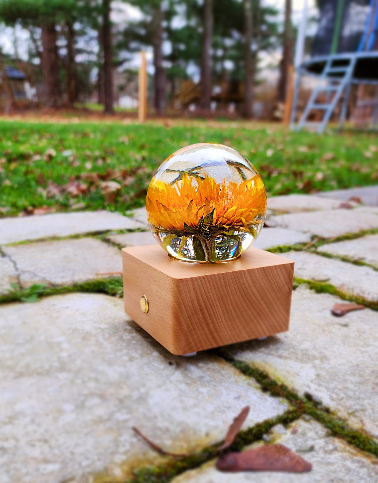 Sunflower Flower Bluetooth Speaker Crystal Ball - （Natural Preserved Flower)